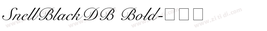 SnellBlackDB Bold字体转换